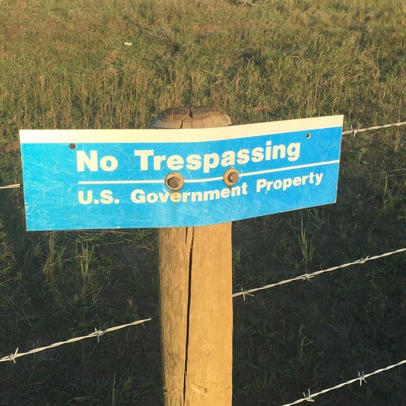 Meet your Posher, Bob - Picture 1 of 1